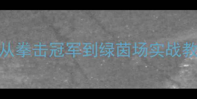 图片 邹市明跨界足球：从拳击冠军到绿茵场实战教学专家的转型密码