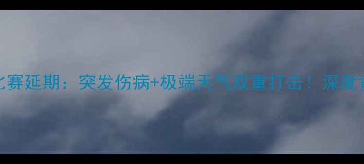 图片 里斯本竞技官宣比赛延期：突发伤病+极端天气双重打击！深度背后的隐情与影响
