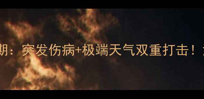 图片 里斯本竞技官宣比赛延期：突发伤病+极端天气双重打击！深度背后的隐情与影响2