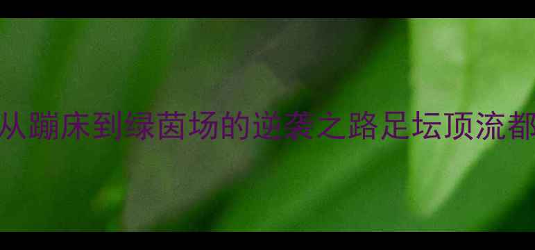 图片 里约奥运会足球传奇：从蹦床到绿茵场的逆袭之路足坛顶流都在偷偷练的空中动力学