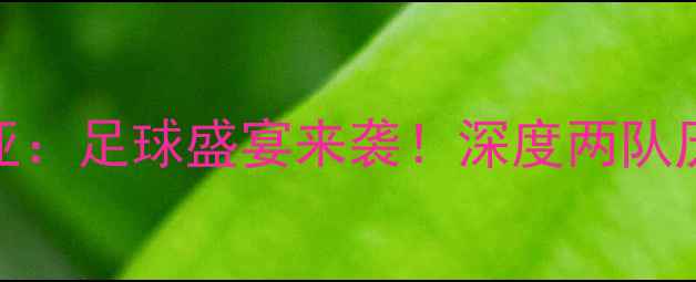图片 阿塞拜疆VS克罗地亚：足球盛宴来袭！深度两队历史交锋与战术博弈