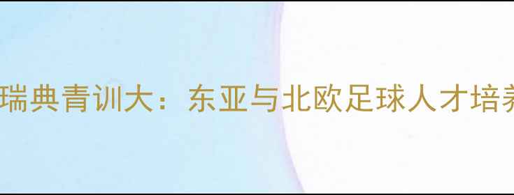 图片 韩国vs瑞典青训大：东亚与北欧足球人才培养密码1