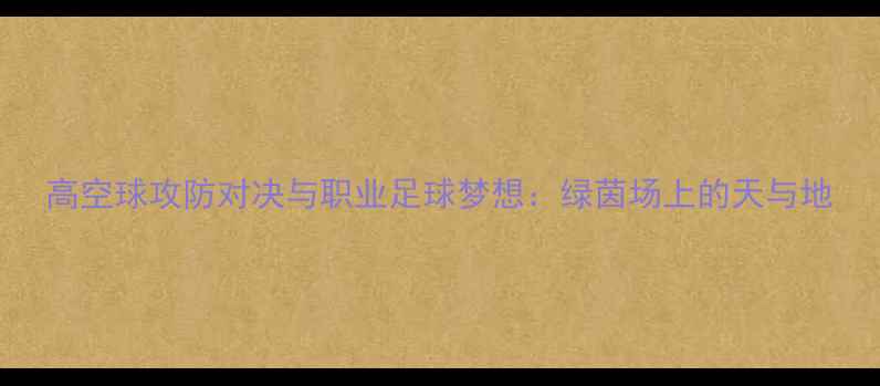 图片 高空球攻防对决与职业足球梦想：绿茵场上的天与地
