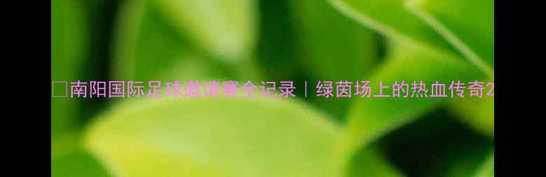 图片 🌟南阳国际足球邀请赛全记录｜绿茵场上的热血传奇2