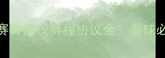 图片 🏆印尼甲联赛转播权赛程协议全！看球必看干货指南