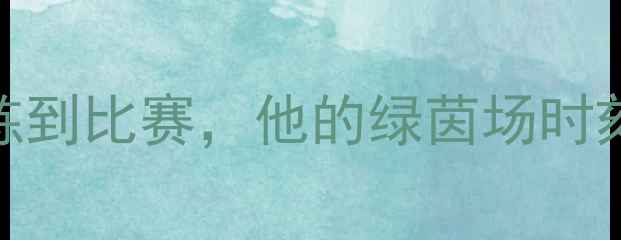 图片 🏆孙杨足球赛事全回顾：从训练到比赛，他的绿茵场时刻🌟孙杨足球赛事分析体坛传奇