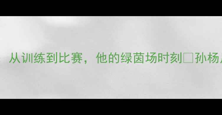 图片 🏆孙杨足球赛事全回顾：从训练到比赛，他的绿茵场时刻🌟孙杨足球赛事分析体坛传奇2