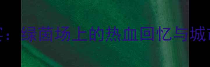 图片 🏆宿迁足球盛宴：绿茵场上的热血回忆与城市精神传承🏟️