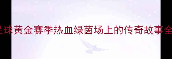 图片 🏆甘肃足球黄金赛季热血绿茵场上的传奇故事全记录🔥1