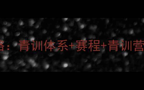 图片 🏆荷兰足球省赛全攻略：青训体系+赛程+青训营招生（附报名指南）1