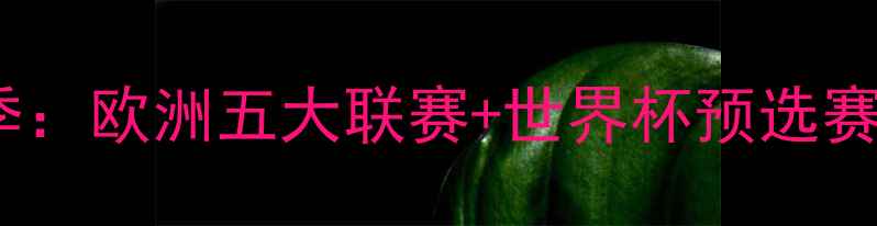 图片 🏆足坛经典赛季：欧洲五大联赛+世界杯预选赛成绩全！🔥🔥2