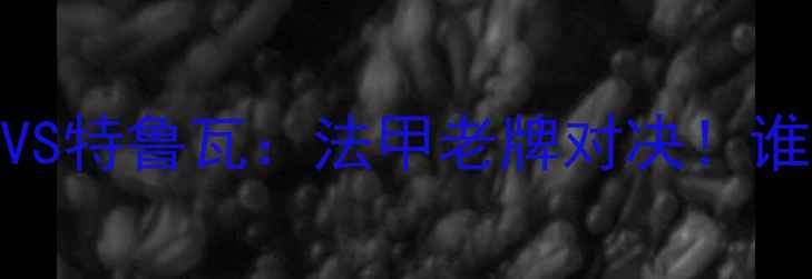 图片 🏆高清直播+战术尼奥特VS特鲁瓦：法甲老牌对决！谁将主宰普罗旺斯平原？2