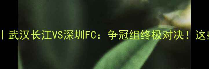图片 🔥1130中超焦点战｜武汉长江VS深圳FC：争冠组终极对决！这些数据你必看！🔥1