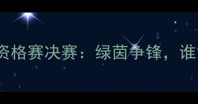 图片 🔥中国足球联赛资格赛决赛：绿茵争锋，谁能问鼎冠军？🔥1