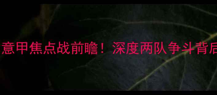 图片 🔥尤尼卡VS布罗斯：意甲焦点战前瞻！深度两队争斗背后的战术与球星对决2