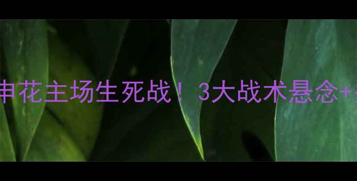 图片 🔥广厦VS上海战报全｜申花主场生死战！3大战术悬念+关键球员数据大公开🏆1