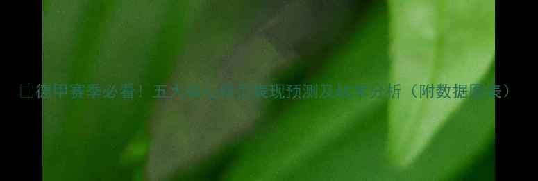 图片 🔥德甲赛季必看！五大核心球员表现预测及战术分析（附数据图表）