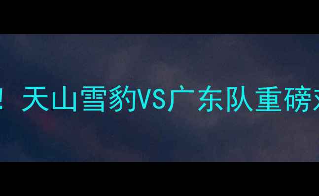 图片 🔥新疆广东足球赛程大！天山雪豹VS广东队重磅对决时间表+观赛攻略🔥