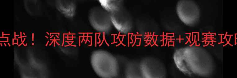 图片 🔥比勒菲尔德vs柏林德甲焦点战！深度两队攻防数据+观赛攻略，附赠熬夜看球必备清单2