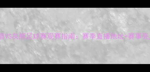 图片 🔥火箭VS灰熊足球赛观赛指南：赛季直播地址+赛事亮点全1