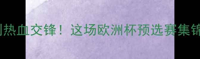 图片 🔥芬兰VS意大利热血交锋！这场欧洲杯预选赛集锦谁更炸裂？🔥1