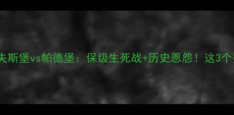 图片 🔥赛季德甲焦点战沃尔夫斯堡vs帕德堡：保级生死战+历史恩怨！这3个数据将决定冠军归属🏆1