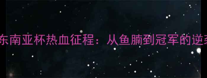 图片 🔥越南男足东南亚杯热血征程：从鱼腩到冠军的逆袭之路！🔥1