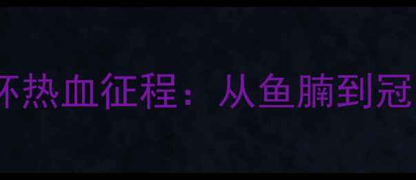 图片 🔥越南男足东南亚杯热血征程：从鱼腩到冠军的逆袭之路！🔥2