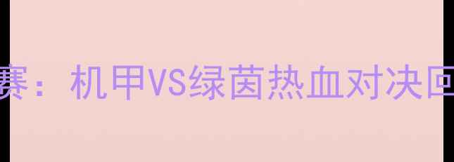 图片 🔥高达联名足球赛：机甲VS绿茵热血对决回顾与深度！🚀⚽