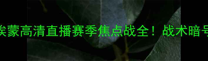 图片 🔥鹿特丹斯巴达vs埃蒙高清直播赛季焦点战全！战术暗号+必看看点速递🎯2